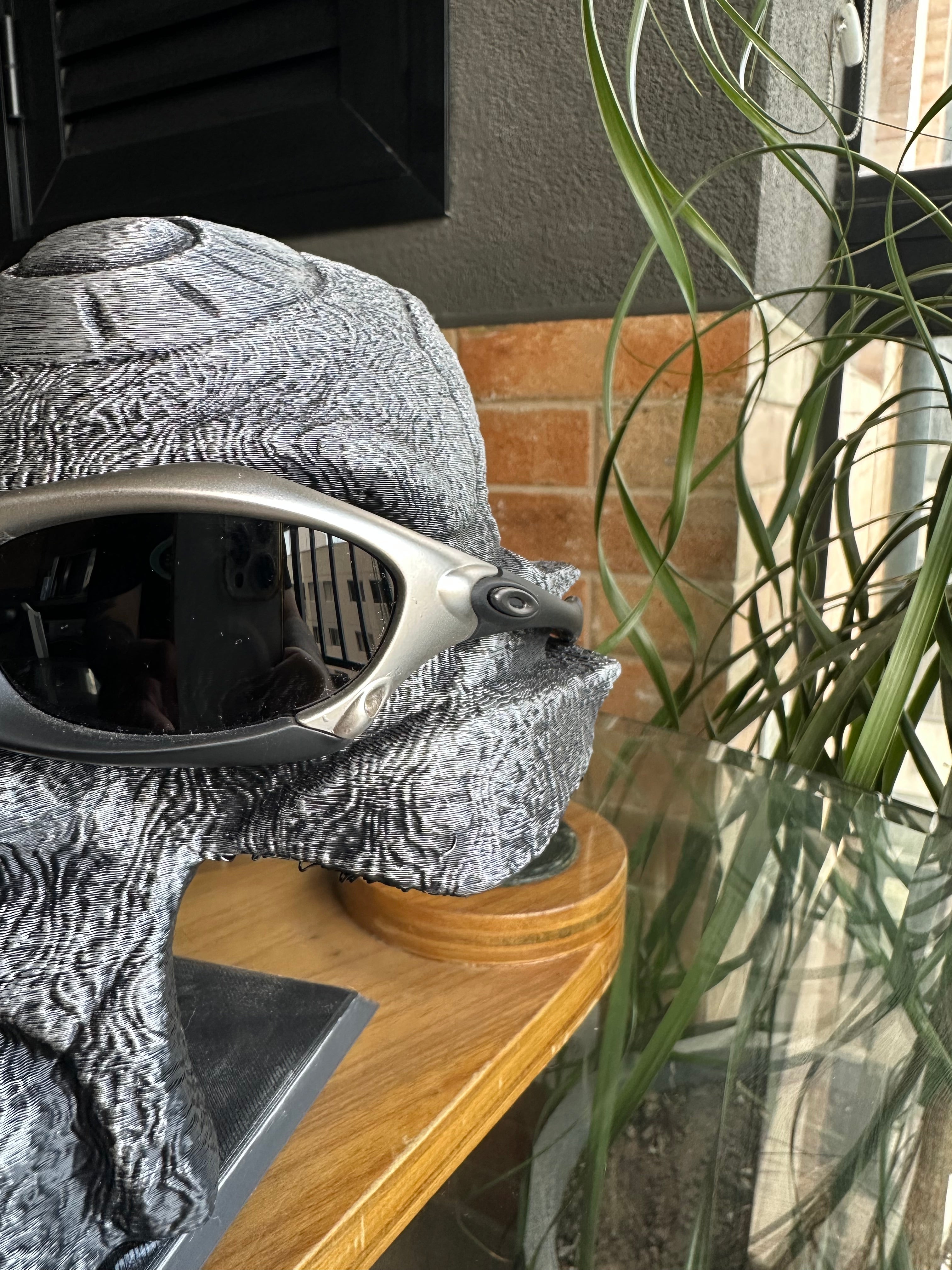 Oakley Splice Silver