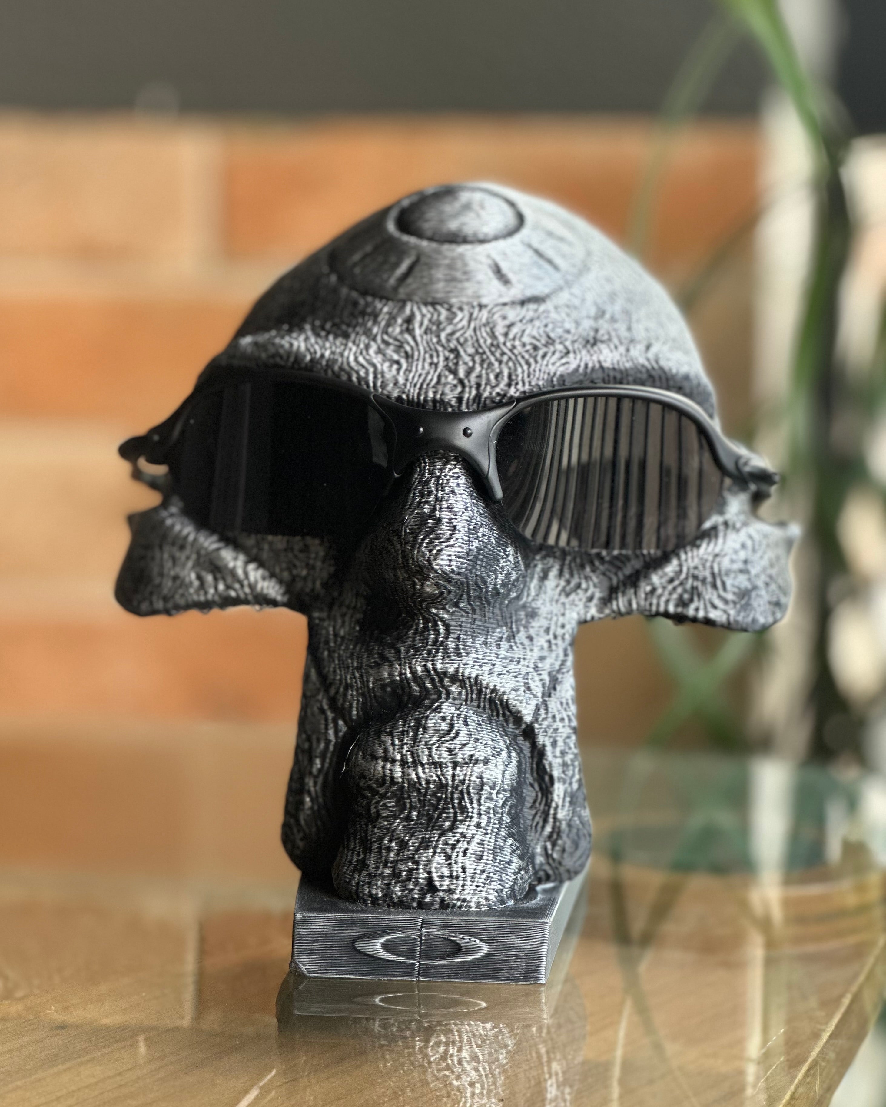 Oakley Romeo 2 All Black